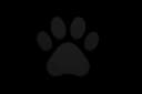 Animal paw icon