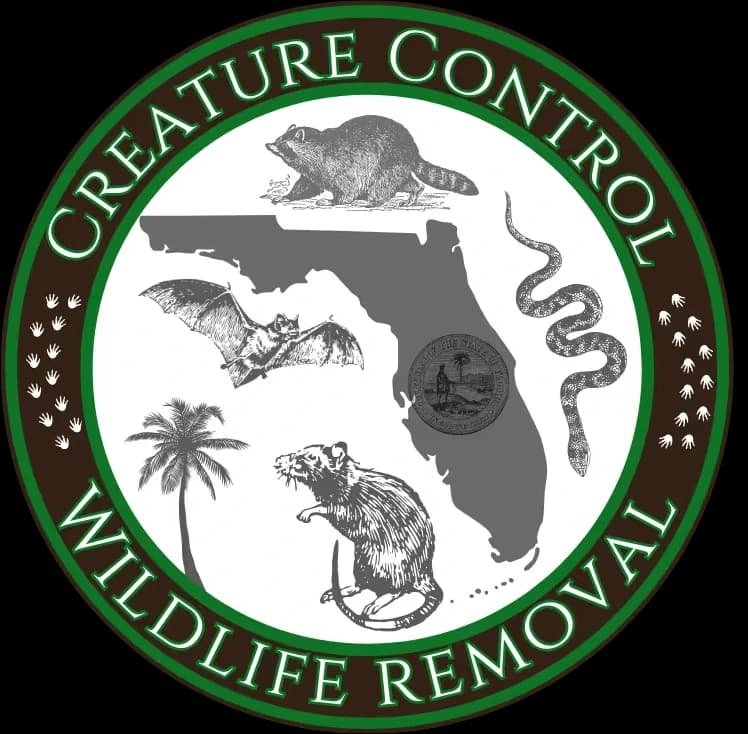 Creature Control FL - 24/7 Emergency Wildlife Removal Central Florida